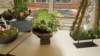 dsc05760_small.jpg