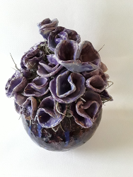 voorbeeld4 workshop